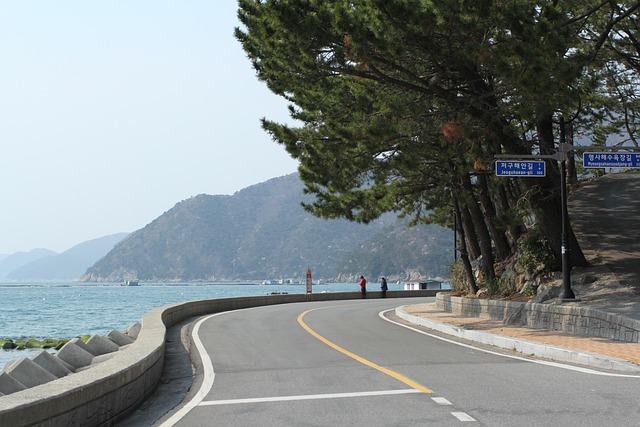 Recuperación del Permiso de Conducir